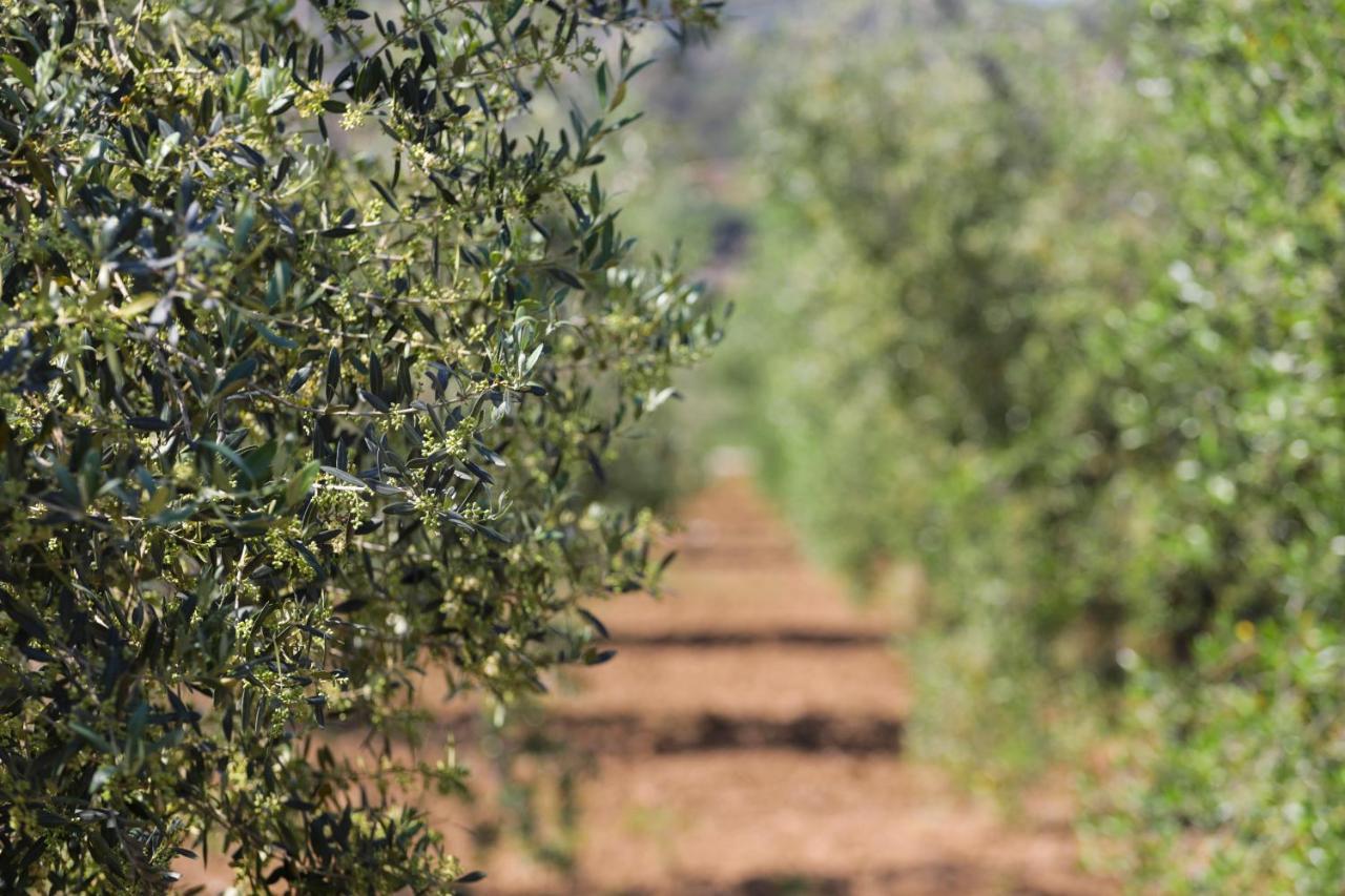 קאפוליברי Country Hotel Residence Da Pilade מראה חיצוני תמונה