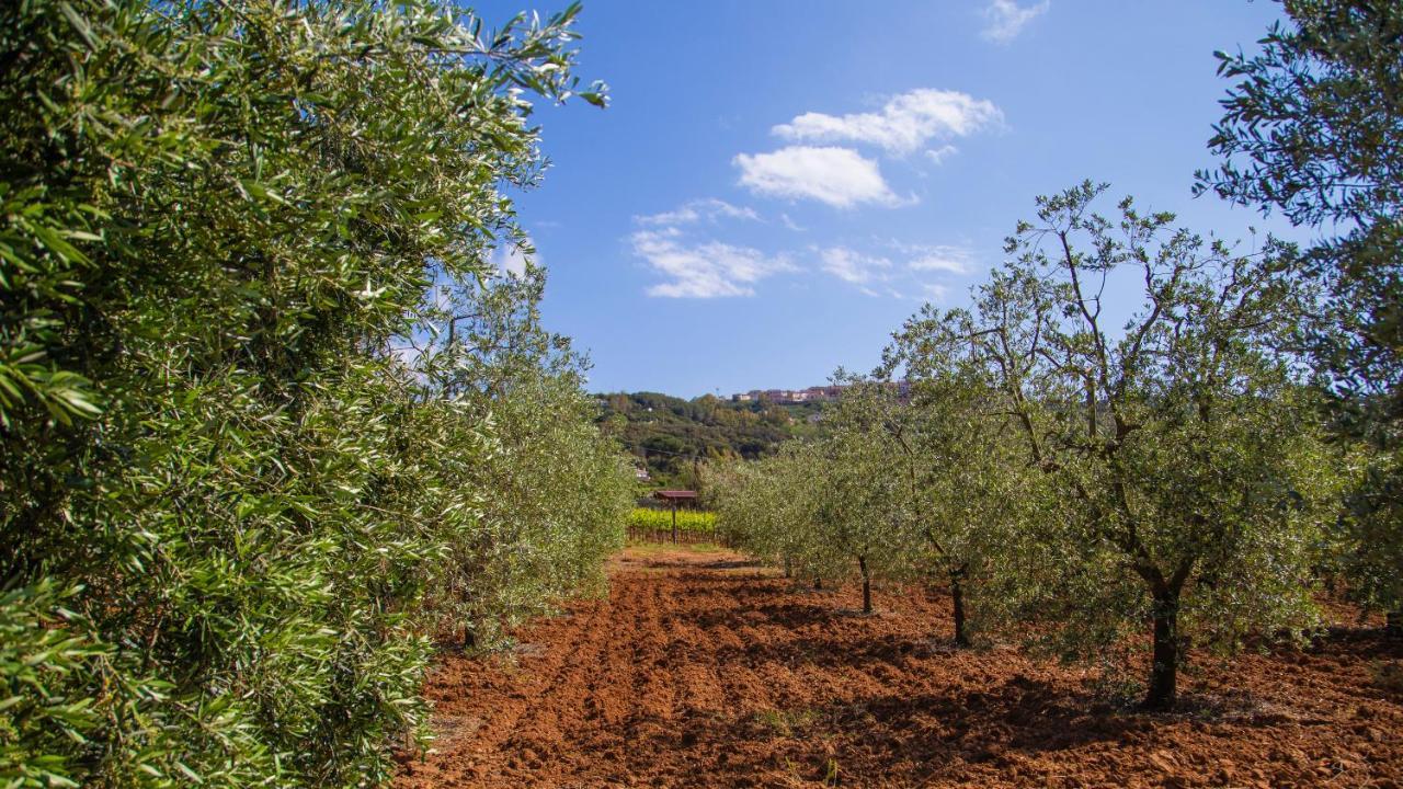 קאפוליברי Country Hotel Residence Da Pilade מראה חיצוני תמונה