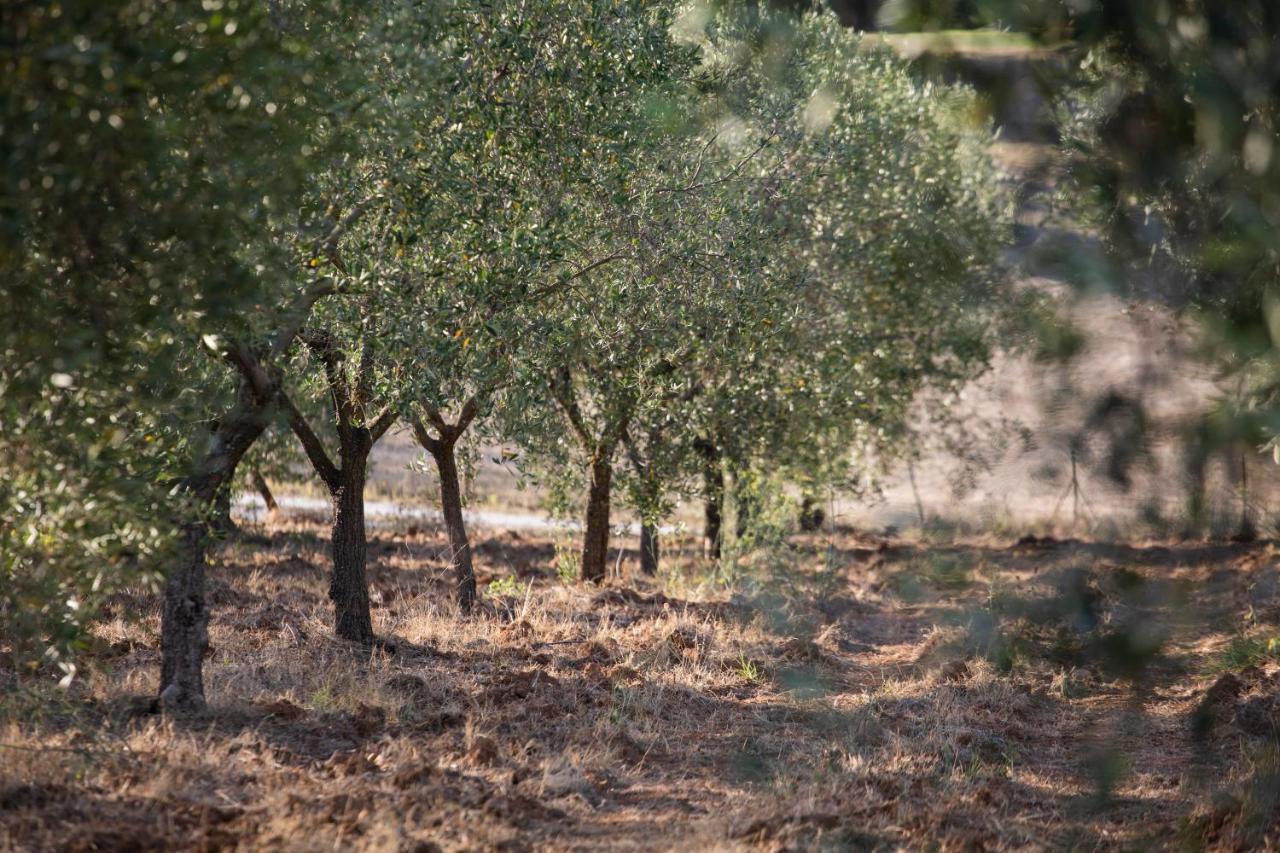 קאפוליברי Country Hotel Residence Da Pilade מראה חיצוני תמונה